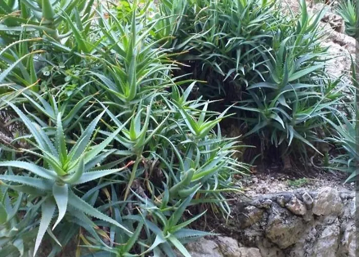 Casa Adriana Apartment Syrakus