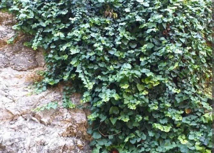 Apartment Casa Adriana Syrakus